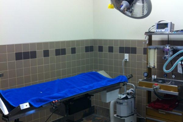 Blackfalds Veterinary Hospital's surgical suite is equipped to handle many types of surgeries