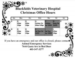 Christmas Hours